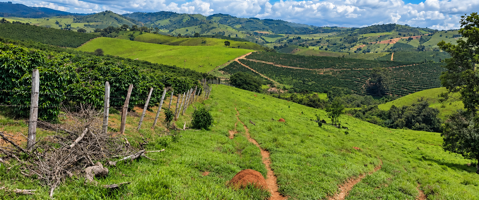 Fazenda de café nas montanhas do Sul de Minas